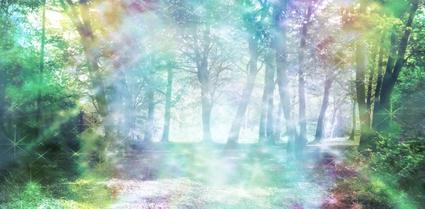 glowing forest