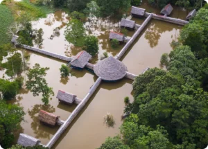 Jungle Lodge Full